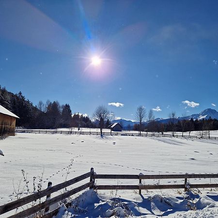 Appartement Bergsee Sun - Am Wildsee - Atemberaubende Aussicht Seefeld in Tirol Exterior foto
