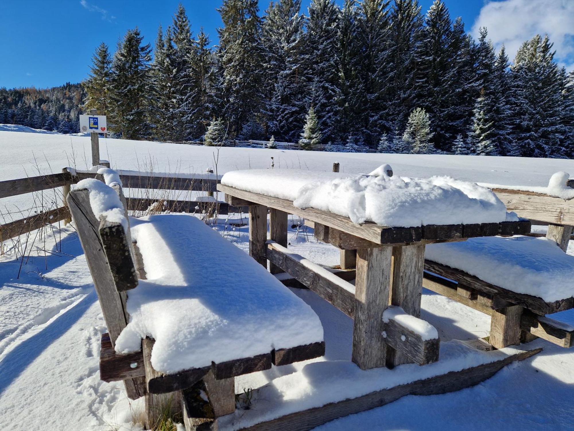 Appartement Bergsee Sun - Am Wildsee - Atemberaubende Aussicht Seefeld in Tirol Exterior foto