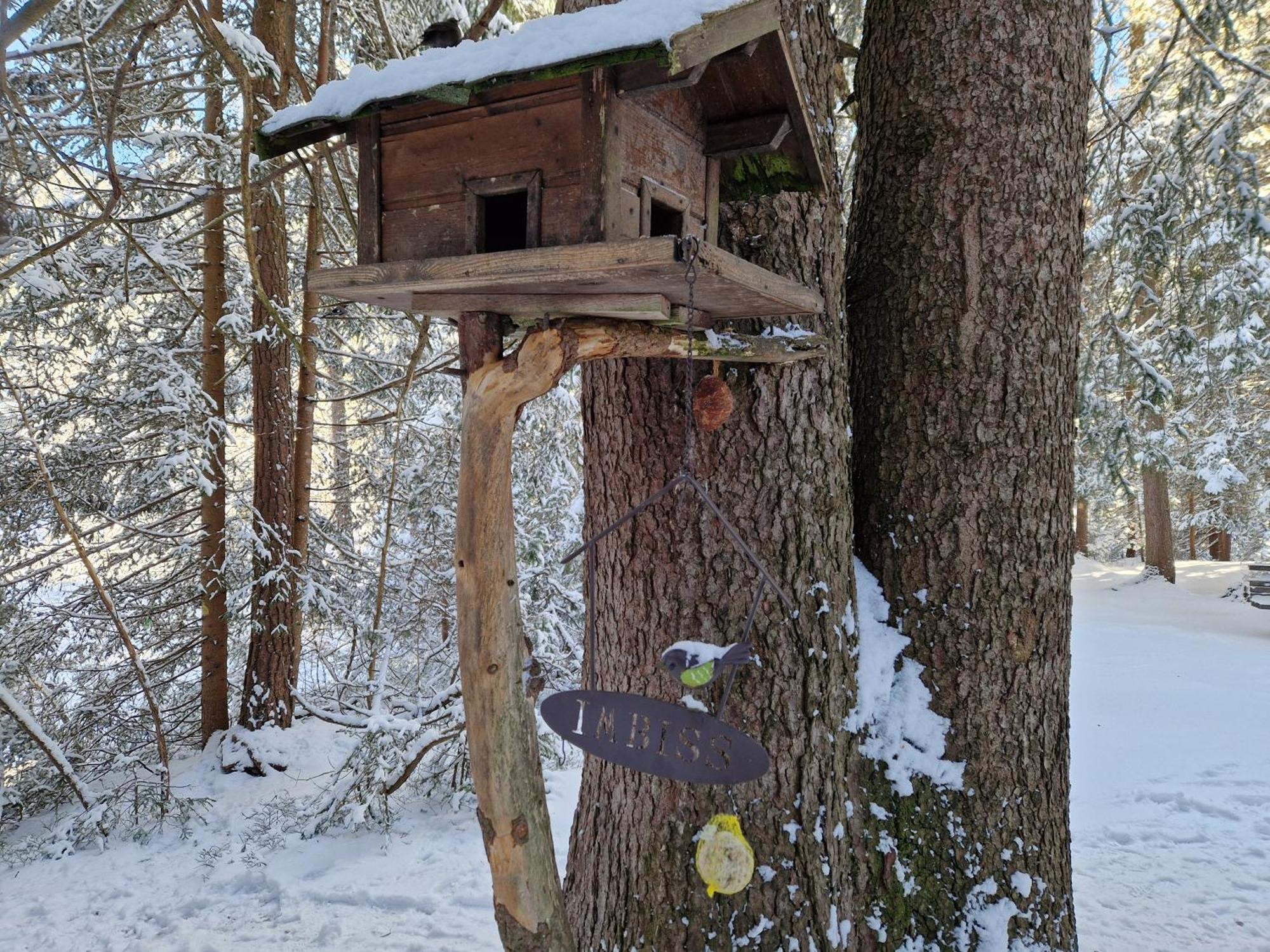 Appartement Bergsee Sun - Am Wildsee - Atemberaubende Aussicht Seefeld in Tirol Exterior foto